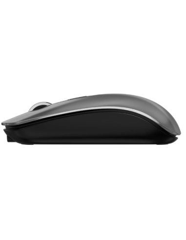 DEVIA RATON INALAMBRICO DUAL MODE GRIS