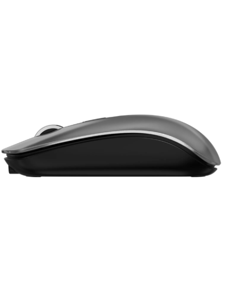 DEVIA RATON INALAMBRICO DUAL MODE GRIS