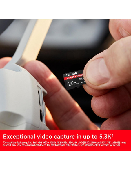SANDISK TARJETA MICROSD EXPRESS 256GB / NINTENDO SWITCH 2