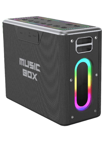 HIFUTURE KARAOKE/ALTAVOZ MUSICBOX 100W NEGRO