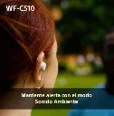 Captura de pantalla 2026-09-03 110630.webp