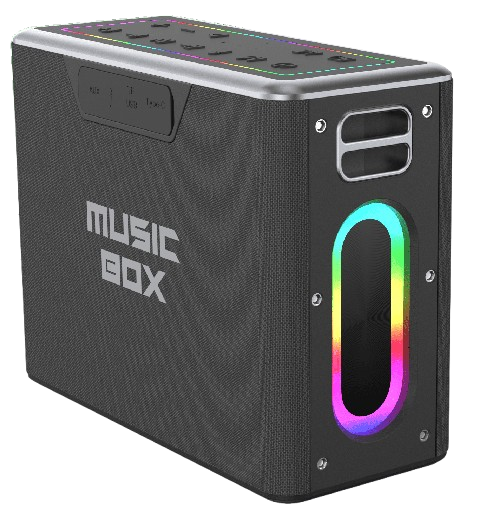 HIFUTURE KARAOKE/ALTAVOZ MUSICBOX 100W NEGRO